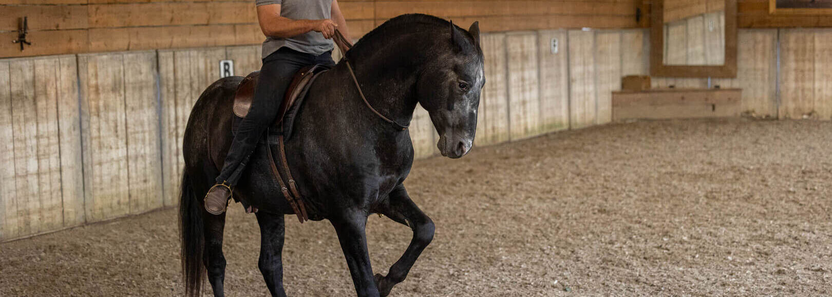 Neck Rein® met een vrij hoofd