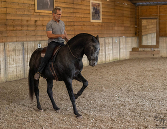 Neck Rein® met een vrij hoofd