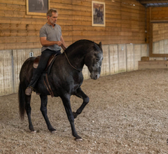 Handgemaakte Jossy Reynvoet - Neck Rein®