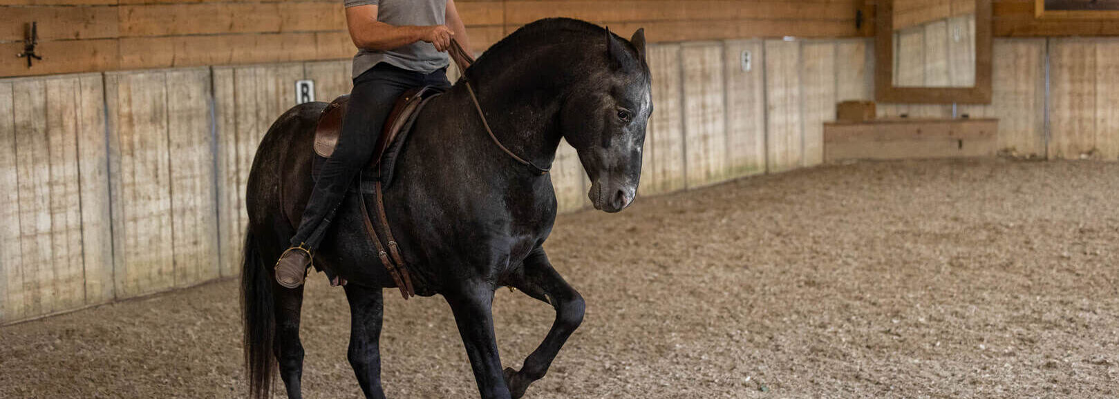 NIEUW!! Jossy Reynvoet - Neck Rein®