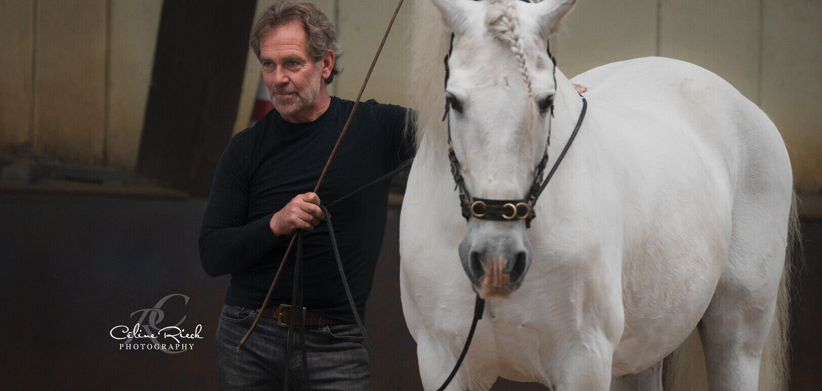 Equitation