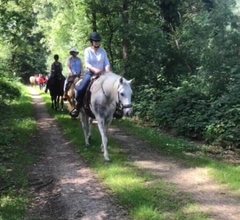 Buitenrit Hoge Kempen 02-11-24